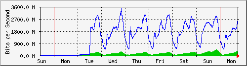 week week
