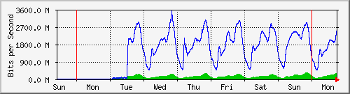 week week