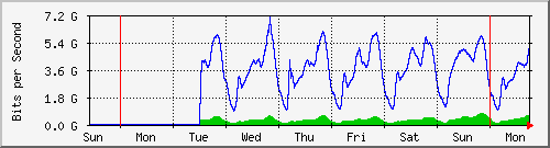 week week